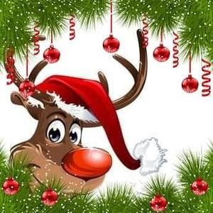 Meet your Posher, Suzanne